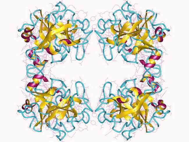 Tryptase Molecule_resized.jpg